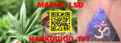 apvp Канаш