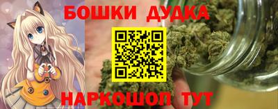 apvp Канаш