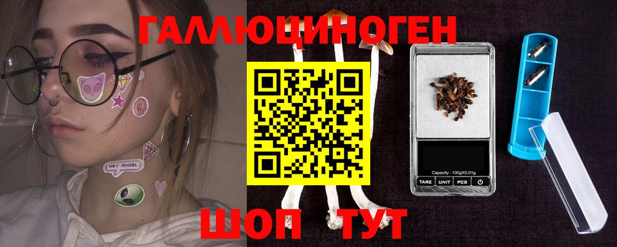 Галлюциногенные грибы Psilocybe  Вход с VPN  Магадан 