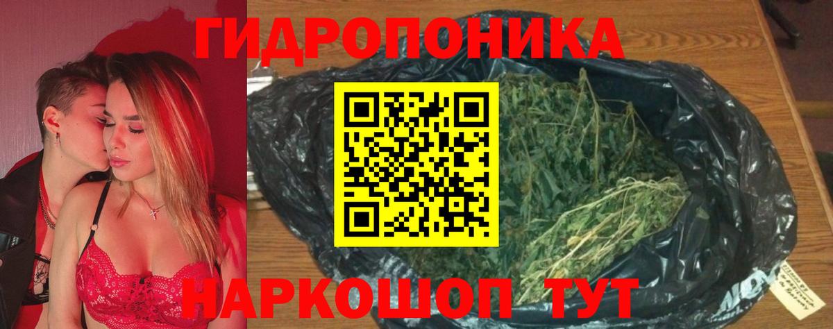 Бошки марихуана индика  Канабис Amnesia  Вход с VPN  Каннабис OG Kush  Магадан 